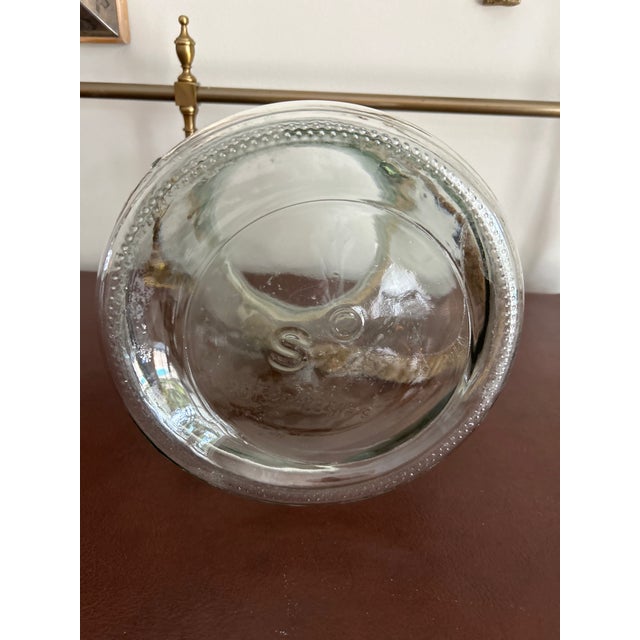 This clear glass jar features a rounded, pot-belly silhouette with a jute rope handle secured by polished metal clasps,...