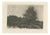 After Corot, River Landscape with Boatman and Cows, 1880, Etching For Sale