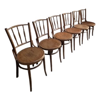 Bentwood Bistro Chairs from Fischel, Former Czechoslovakia, 1930s, Set of 6 For Sale
