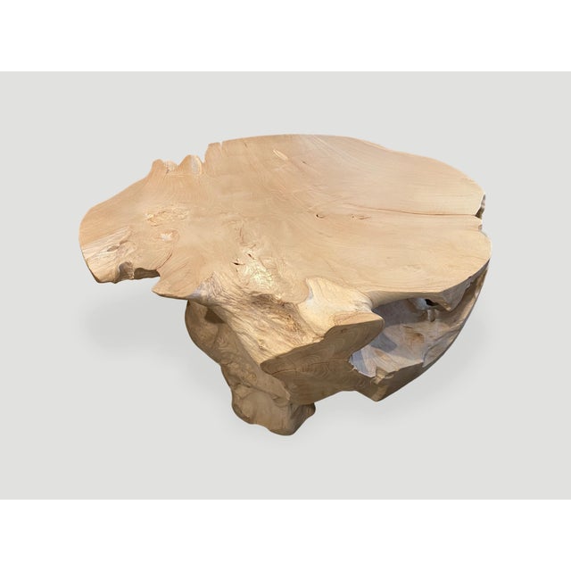 Andrianna Shamaris Impressive Bleached Teak Wood Coffee Table For Sale - Image 4 of 18