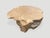 Andrianna Shamaris Impressive Bleached Teak Wood Coffee Table For Sale - Image 4 of 18