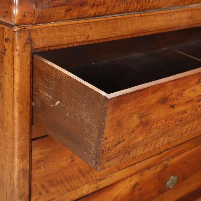 19th Century Carlo X Walnut Chest of Drawers, Italy For Sale - Image 3 of 10