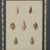 Set of Eight Antique Hand Colored Seashell Prints For Sale - Image 17 of 18