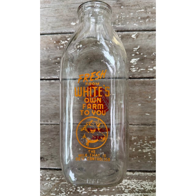 Set of 5, Vintage Milk Bottles and Holder for Flowers/Display For Sale - Image 9 of 15