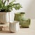 Kenneth Ludwig Chicago Allison Pot Small For Sale - Image 4 of 4
