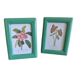 Botanical Floral Bookplate Postcards Framed in Green Ceramic Frames - Set of 2