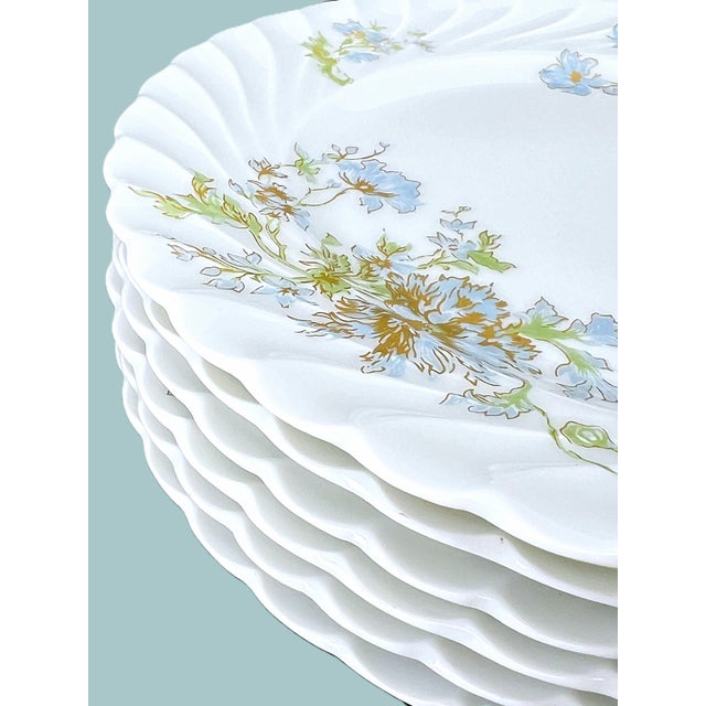 1980s 1980s Haviland Limoges Porcelain Plates, Margaux - Set of 6 For Sale - Image 5 of 9
