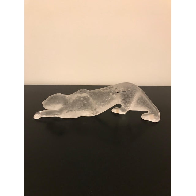 Lalique Frosted Crystal Zeila Panther For Sale - Image 9 of 12