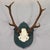 Large Black Forest 8 Pointer Red Deer Trophy on Wooden Plaque ca.1920 An antique trophy of the 8-pointer red deer (Cervus...
