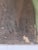 Brown 1930's Cowboy Portrait Painting on Canvas For Sale - Image 8 of 8