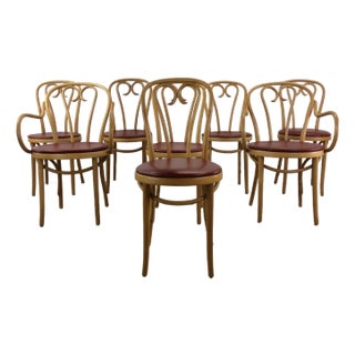 Set of 8 Mid Century Modern Thonet Style Cafe Chairs For Sale