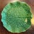 Antique Portuguese Majolica Pottery Green Cabbage or Lettuce Leaf Serving Dish For Sale - Image 9 of 14