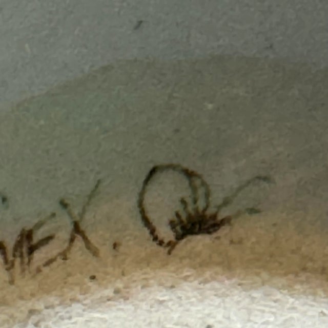 Ceramic Vintage Signed Ken Edwards El Palomar Mexican Pottery Bowl For Sale - Image 7 of 8