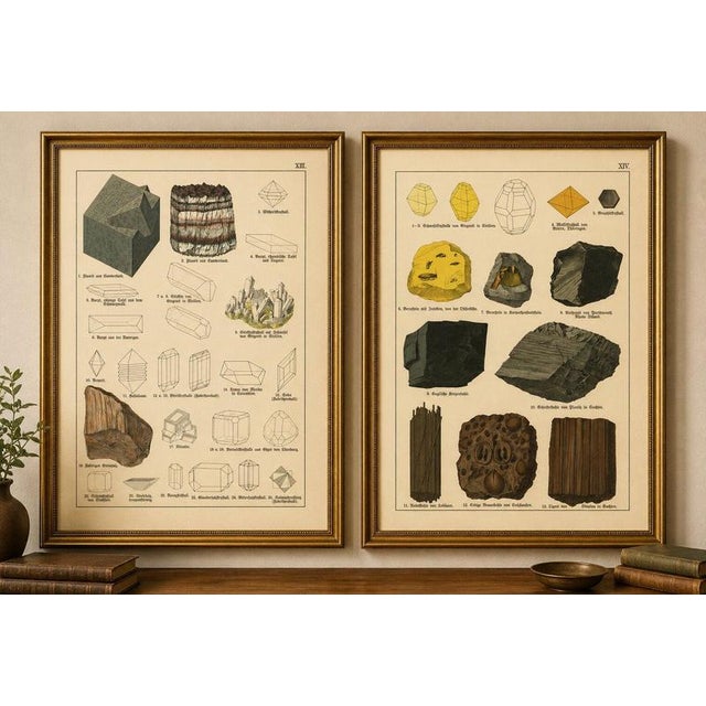 Set of two antique mineralogy chromolithographs, fluorite, amber & coal, 1888 description: a fascinating set of two...