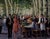 Lunch Time in Provence by Jan S. Haughom | Acrylic Painting of people dining outdoors in a café For Sale