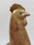 1940s Edouard Cazaux 1940's French Art Deco Rooster For Sale - Image 5 of 7