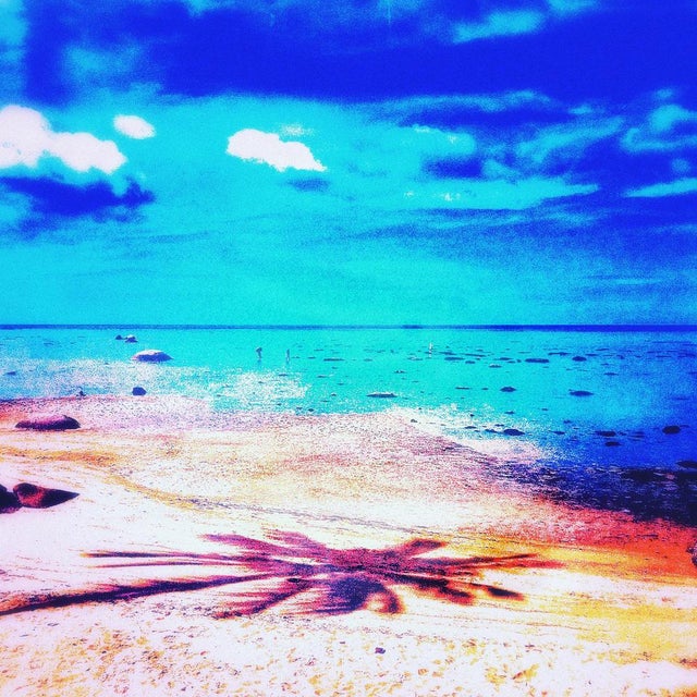 Pellarose Pacific Palms, 2024 Original digigraphy on Hahnemühle Albrecht Dürer 210 gr paper, signed in pencil and numbered...