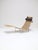 PK24 Lounge Chair in Rattan by Poul Kjaerholm for Fritz Hansen, 1988 For Sale - Image 14 of 14