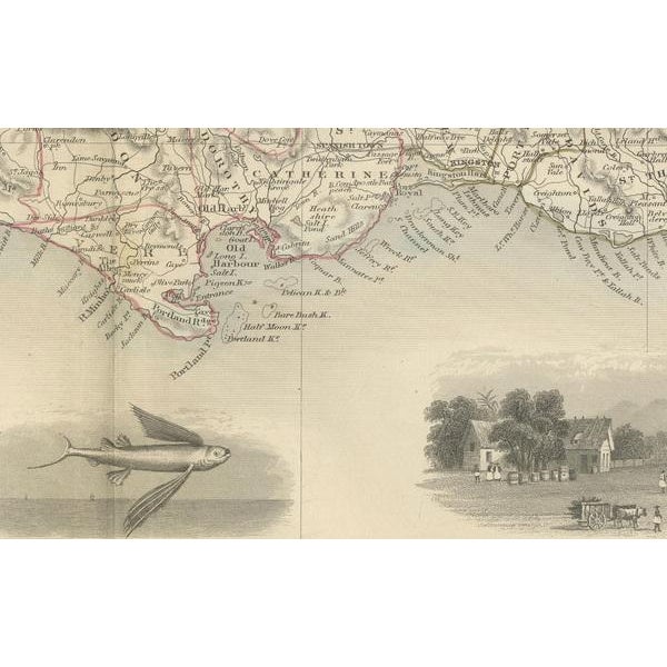 Mid 19th Century Historical Tallis Map of Jamaica with Decorative Vignettes, 1851 For Sale - Image 5 of 7