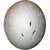 This full carved egg was hand carved using Ostrich eggs by skilled artisans in South Africa using traditional techniques....