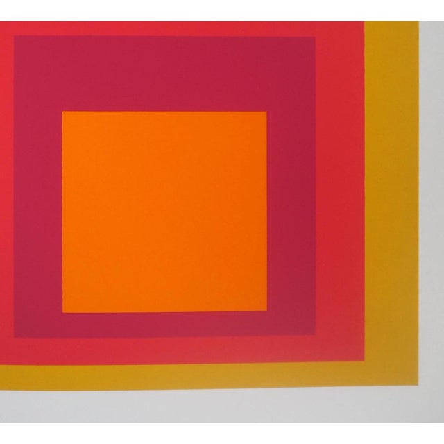 Josef Albers, RI D-5, Original Silkscreen Print For Sale - Image 4 of 6