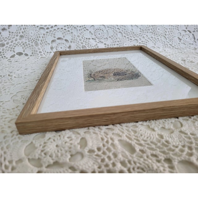 Farmhouse 1855 Framed Woodblock Print, "A Natural History of the Nests & Eggs of British Birds" For Sale - Image 3 of 12