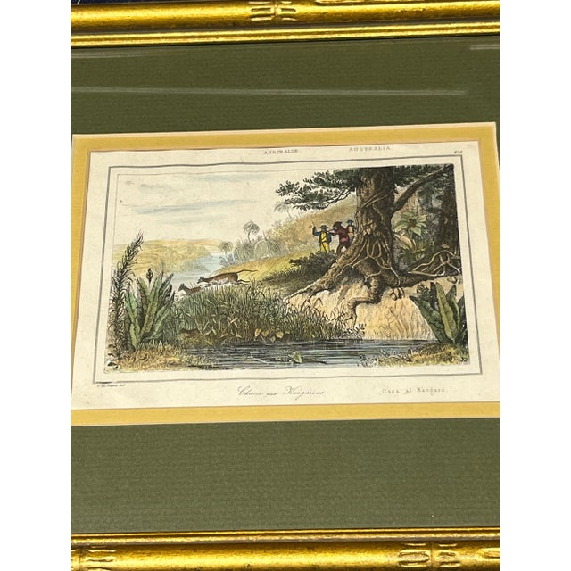 French Early 20th Century Hand-Colored Engraving “Kangaroo Chase” For Sale - Image 3 of 6