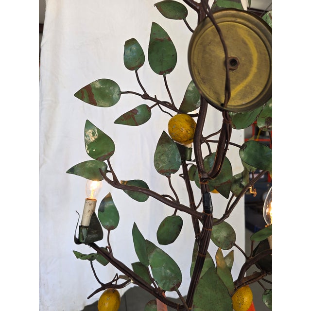 Vintage Italian Tole Citrus Wall Sconce For Sale - Image 15 of 15
