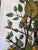 Vintage Italian Tole Citrus Wall Sconce For Sale - Image 15 of 15