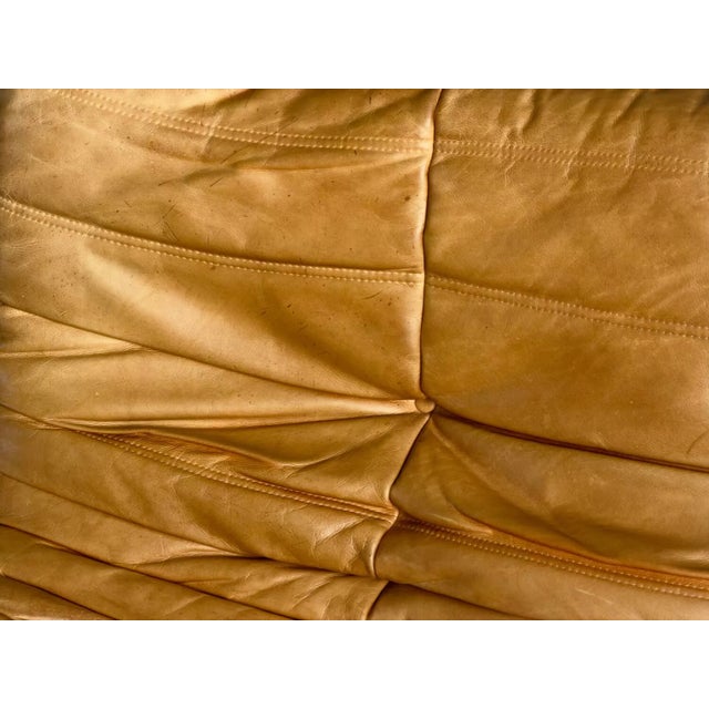 Togo 2-Seater Sofa Ligne Roset For Sale - Image 4 of 13