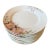 Early 20th Century Nippon Azalea Porcelain Salad Plates, Japan, Set of 11 For Sale