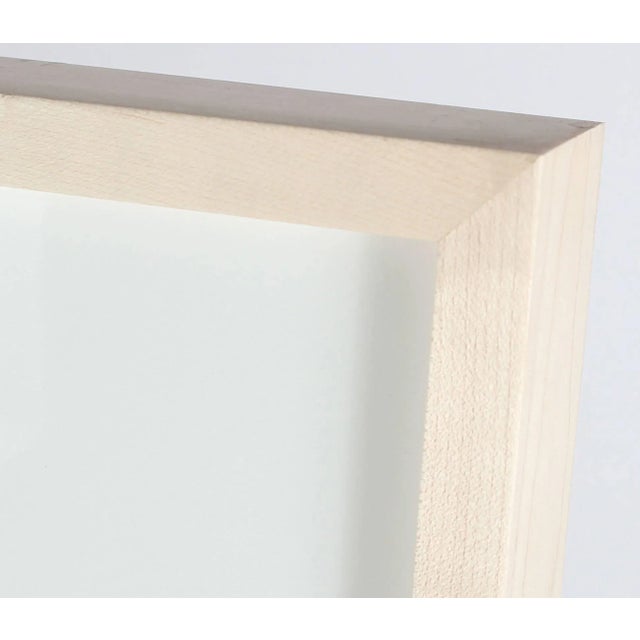 Contemporary Gaétan Caron "Alchimiste" California Botanical Still Life Photograph, 2014 2014 For Sale - Image 3 of 6