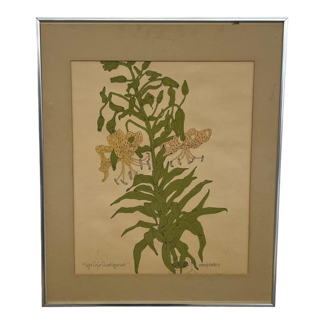 Vintage Botanical Tiger Lily Illustration by Wendy Wheeler, Signed, Framed Floral Art. For Sale