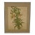 Vintage Botanical Tiger Lily Illustration by Wendy Wheeler, Signed, Framed Floral Art. For Sale
