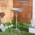 Enjoy the chirping of birds and a relaxing atmosphere outdoors with our Nigel bird bath. Crafted with iron, our...