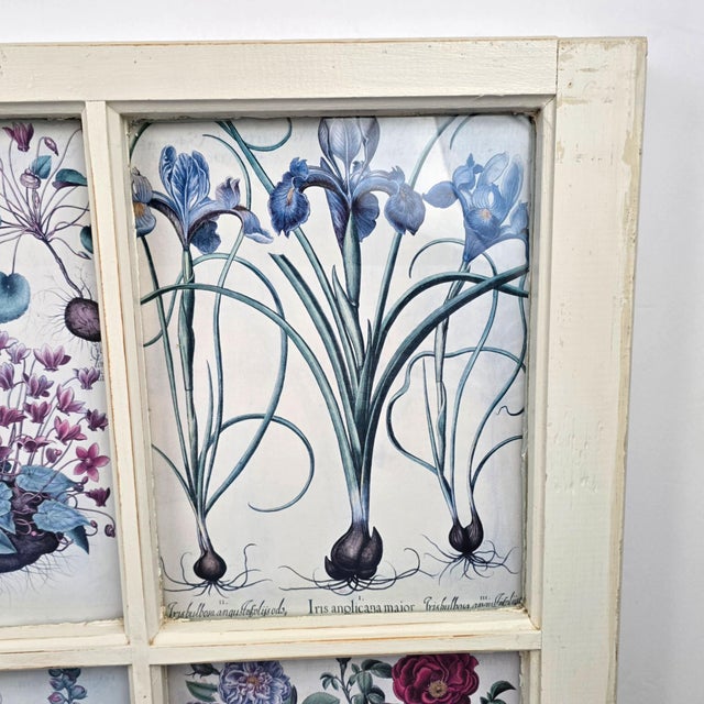 Botanical Prints in Antique Window Frame For Sale In West Palm - Image 6 of 18