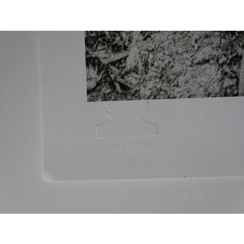 Alberto Korda, Fidel Castro, Silver Gelatin Print For Sale - Image 6 of 8