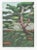 Contemporary 1999 Ten Years of Solitude Contemporary Landscape Linocut For Sale - Image 3 of 3