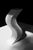 Afrodita Sculpture Object in Jurassic Fossil Stone by Nerinea For Sale - Image 4 of 7