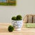 Mediterranean Terrassa Cachepot For Sale - Image 3 of 5