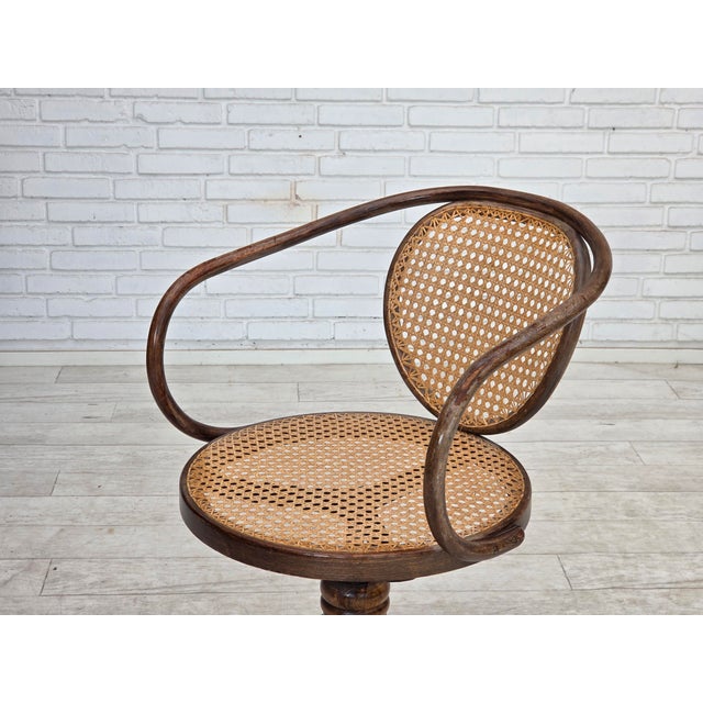 Swivel Armchair in Bentwood and Furniture Mesh, 1950s For Sale - Image 15 of 18