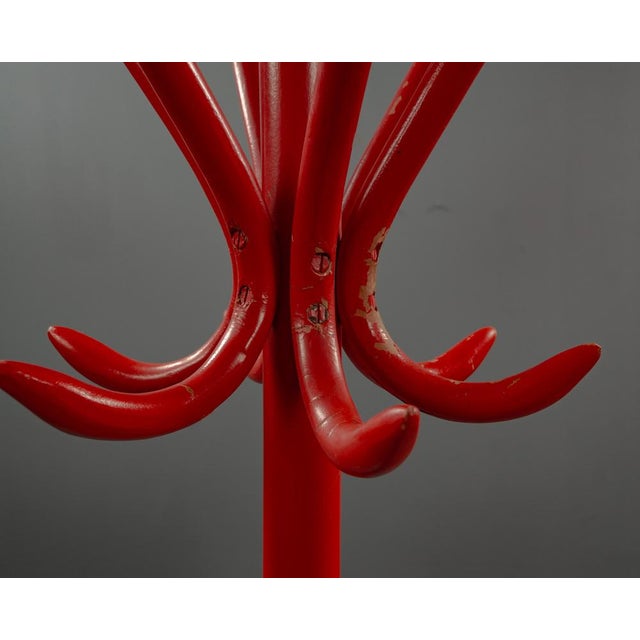 Red Beech Coat Rack, 1980s For Sale - Image 9 of 10