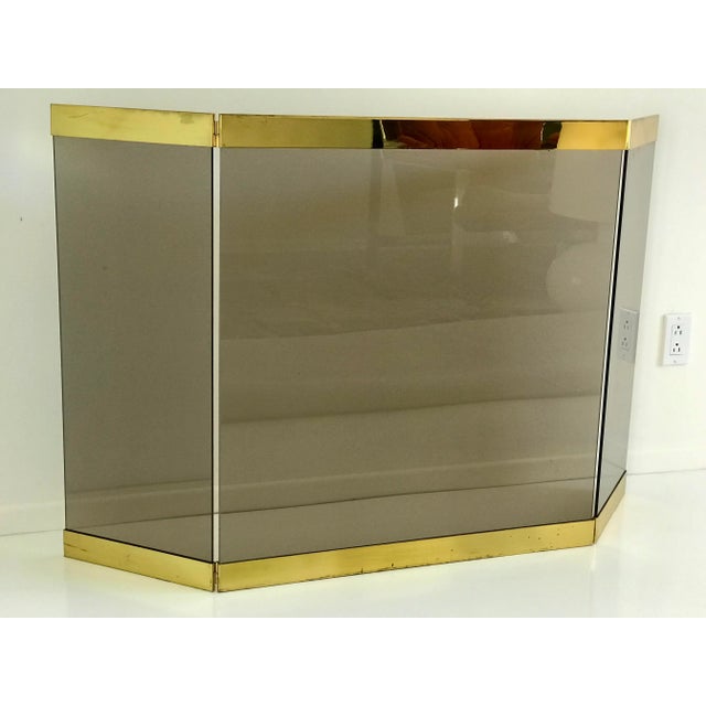 1970s Smoked Glass and Brass Fireplace Screen Chairish