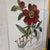 Large Botanical Original Lithographs Vibrant Color in Gold Gilt Frames Set of 2 Red Floral For Sale - Image 10 of 13
