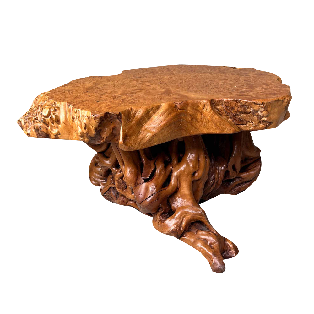 Mid-Century Yakusugi (Yakusugi) Burl Wood Plant Stand, Japan