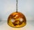 1960s Mid-Century Plexiglass Pendant Lamp with Real Leaves, Germany For Sale - Image 9 of 13