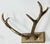 Mid 20th Century Vintage Brass Deer Antler Wall Hook For Sale - Image 5 of 8