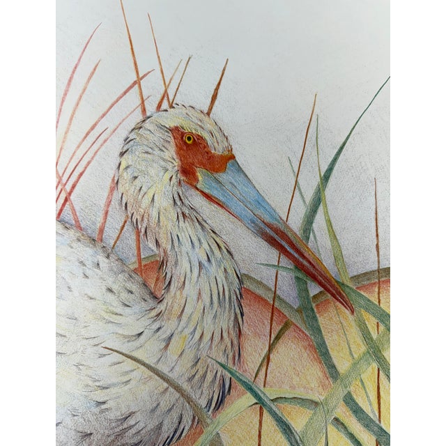 1984, White Ibis, Offset Lithography Print, Artist Louise Freshman Brown For Sale - Image 4 of 6