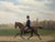 John Grant 1887 Victorian Equestrian Oil Painting of a Gentleman Riding in Hyde Park An elegant Victorian equestrian...