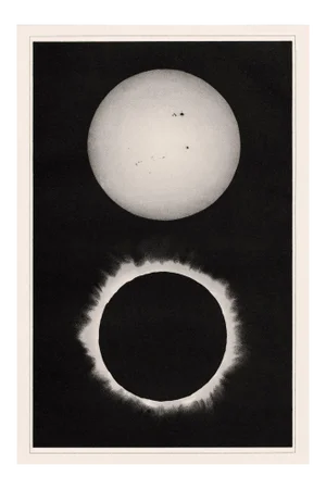 Reproduction 1896 Celestial Eclipse Print - Minimal Black and White - Unframed